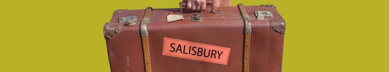 Artistic banner representing Salisbury Visit Here